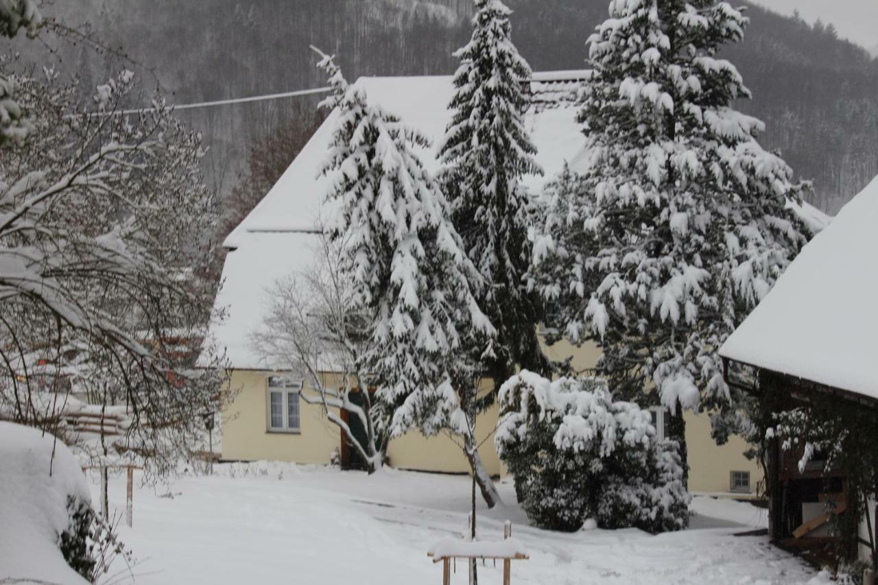 Ferienwohnung In Herrlicher Lage Bad Urach Εξωτερικό φωτογραφία